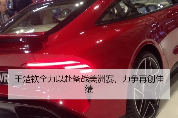 王楚钦全力以赴备战美洲赛，力争再创佳绩